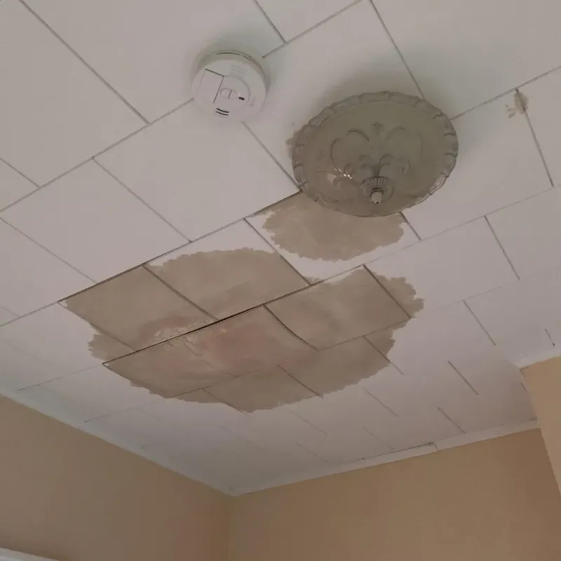 Ceiling Water Damage Repair in Garden City, KS