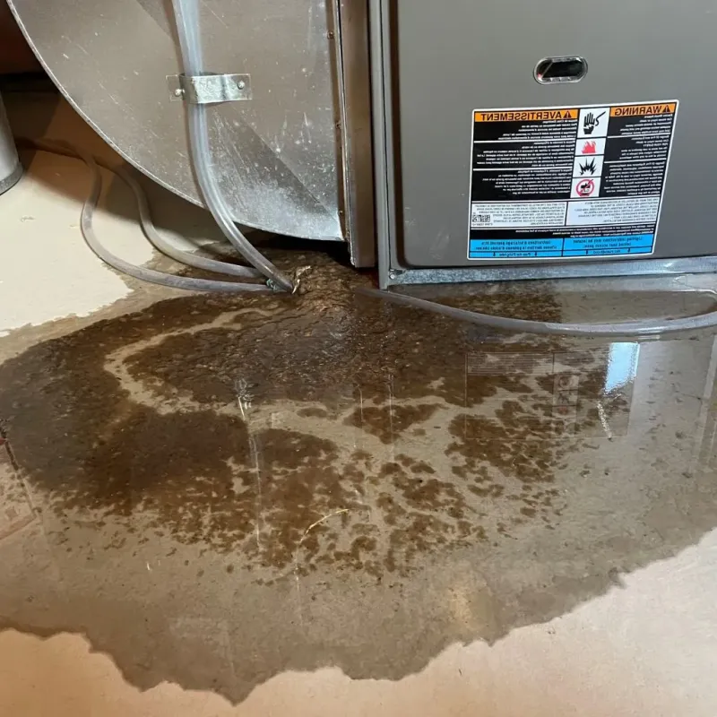 Pipe Burst and Leak Restoration in Garden City, KS